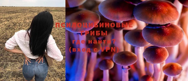 молекула духа Абдулино