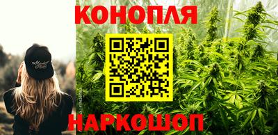 шишки Краснознаменск