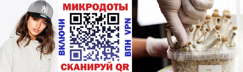 Псилоцибиновые грибы Cubensis  как найти закладки  Комсомольск-на-Амуре 